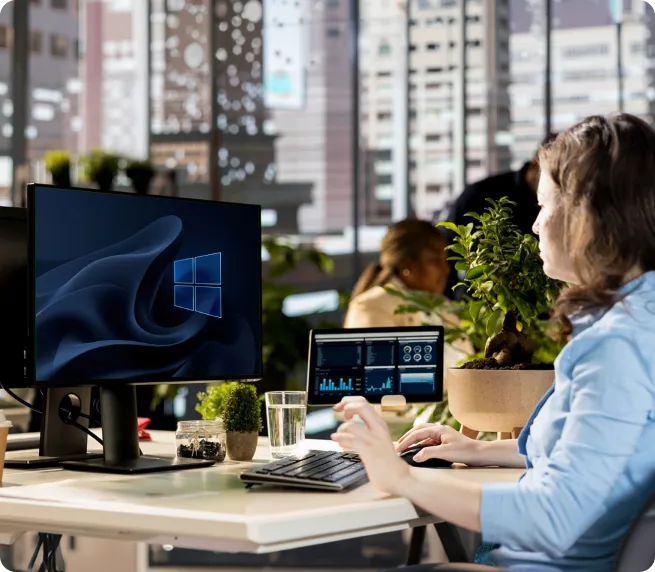 Suite of Microsoft Services