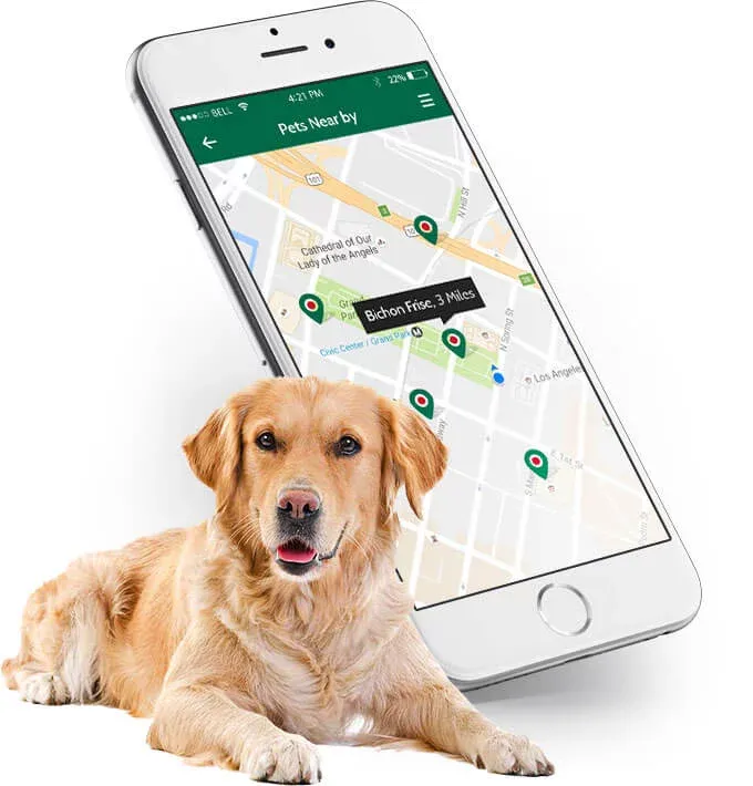 nearby pet rescue mobile app