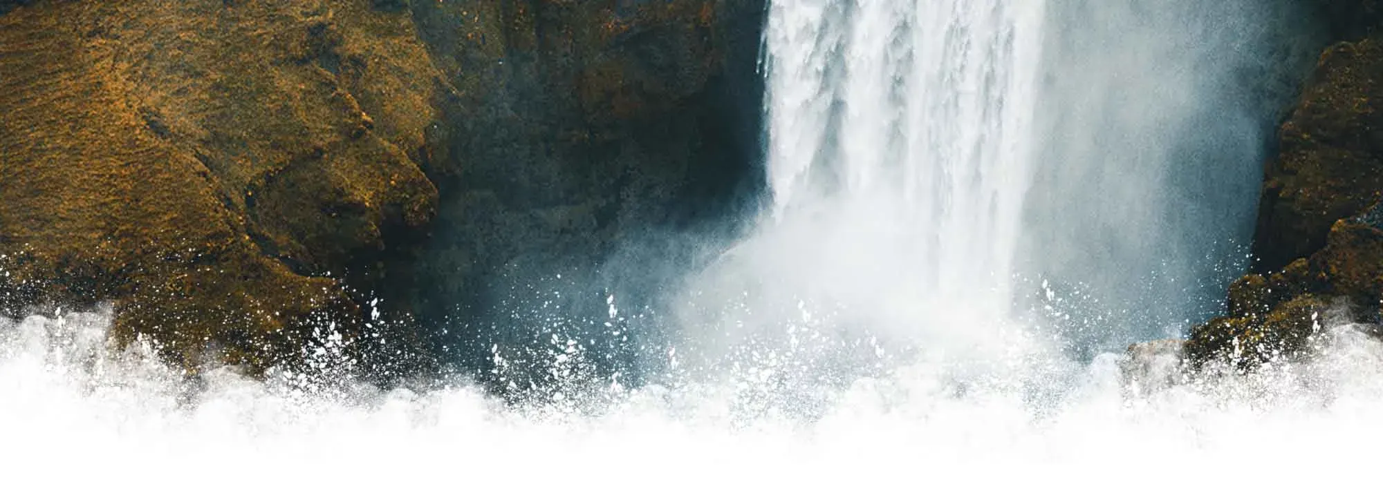 Zoebook Banner