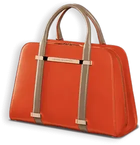 whosellzit-purse
