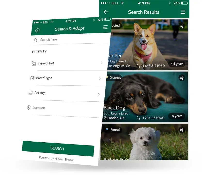 Pet Search App Development